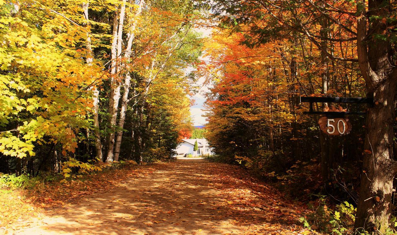 Chalet Riverain Crds Tremblant ลัค-ซุแปร์ริเออร์ ภายนอก รูปภาพ